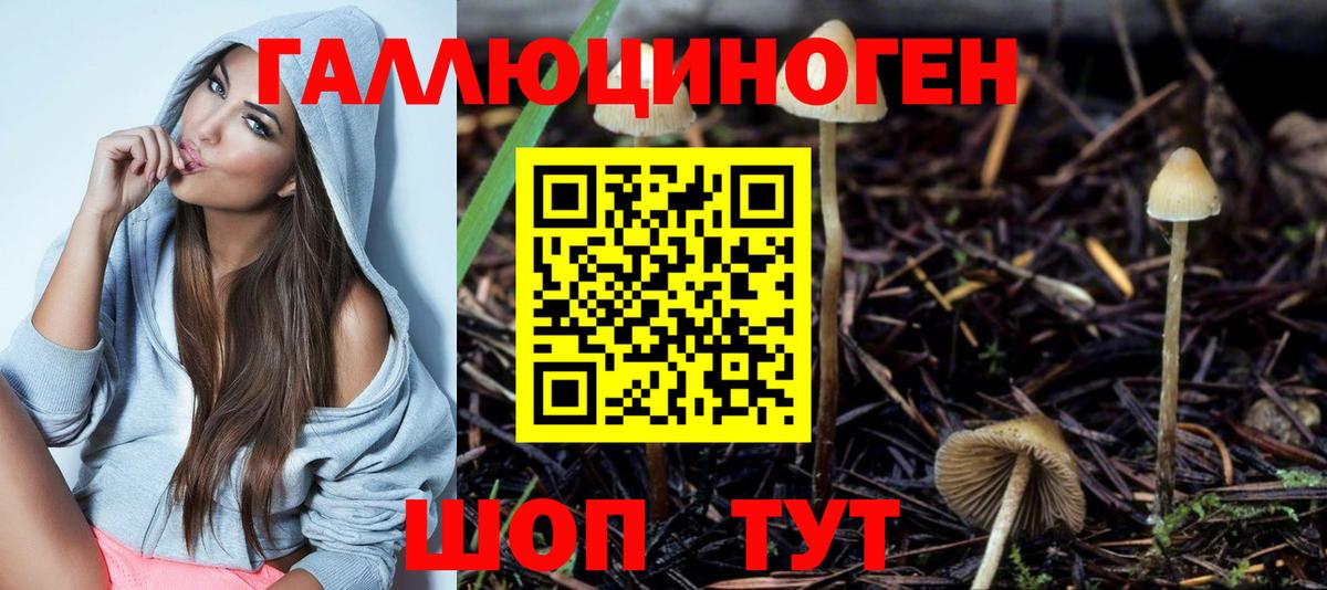 Рославль  Псилоцибиновые грибы прущие грибы  Вход с VPN  Псилоцибиновые грибы мицелий 