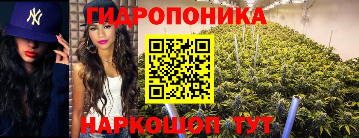Каннабис планчик Рославль